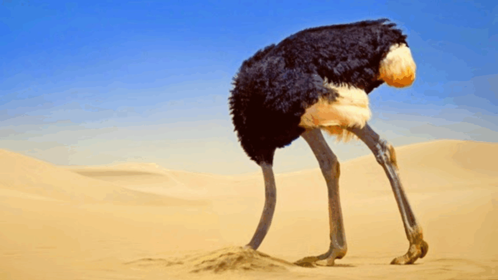 A Síndrome do Avestruz e a Cibersegurança